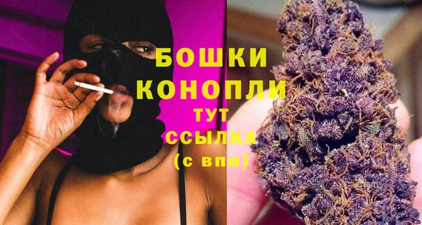 индика Балабаново