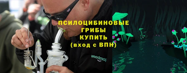 индика Балабаново