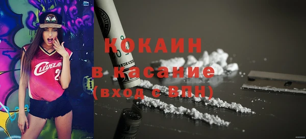 индика Балабаново