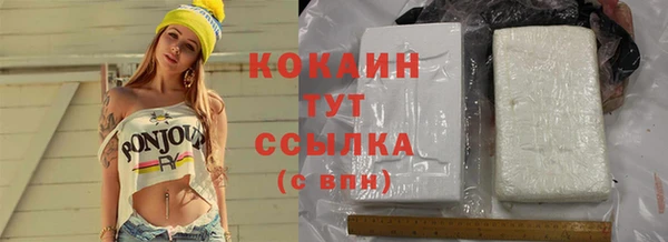 индика Балабаново