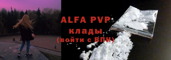 индика Балабаново