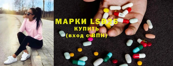 индика Балабаново
