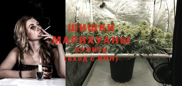 индика Балабаново