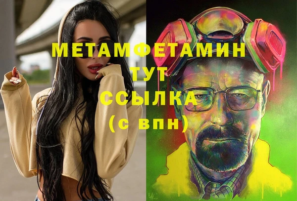 индика Балабаново
