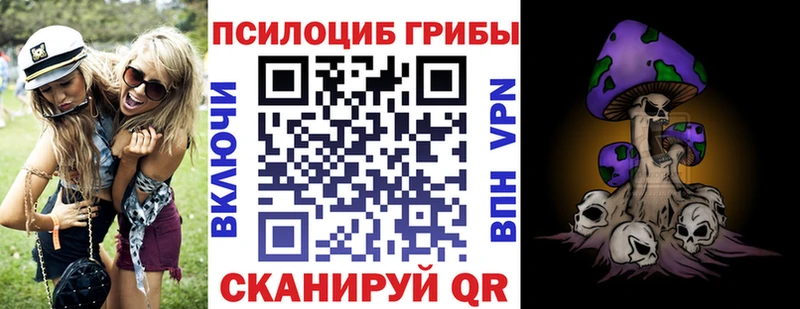 Псилоцибиновые грибы Psilocybine cubensis  Купить  Краснотурьинск 